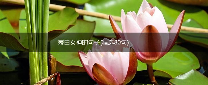 表白女神的句子(精选80句),第1张