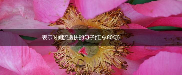 表示时间流逝快的句子(汇总80句),第1张