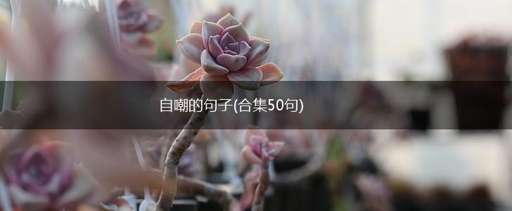自嘲的句子(合集50句),第1张