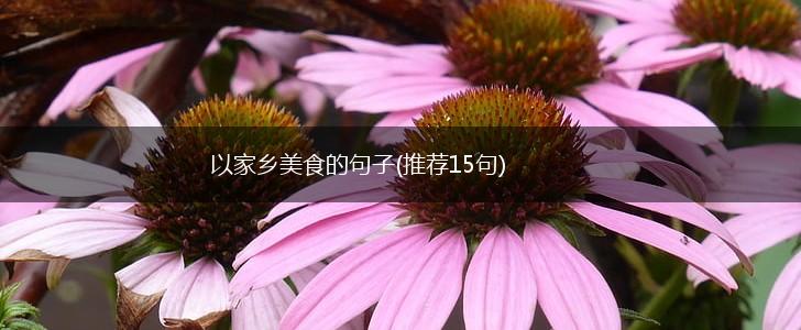 以家乡美食的句子(推荐15句),第1张