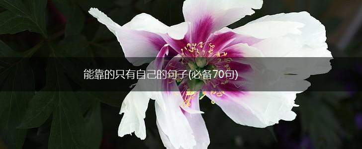 能靠的只有自己的句子(必备70句),第1张