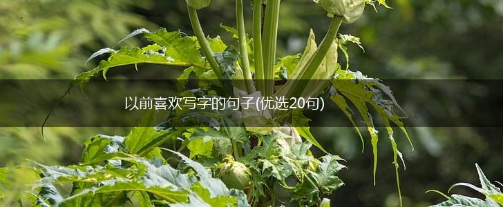 以前喜欢写字的句子(优选20句),第1张