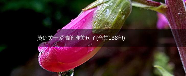 英语关于爱情的唯美句子(合集138句),第1张