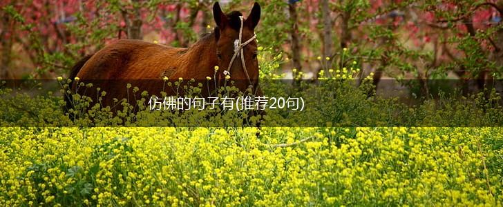 仿佛的句子有(推荐20句),第1张