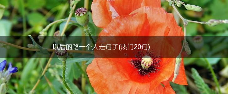 以后的路一个人走句子(热门20句),第1张