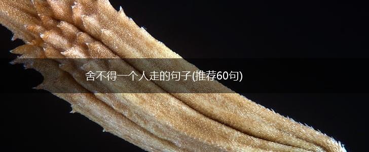 舍不得一个人走的句子(推荐60句),第1张