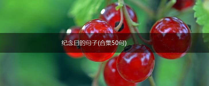 纪念日的句子(合集50句),第1张