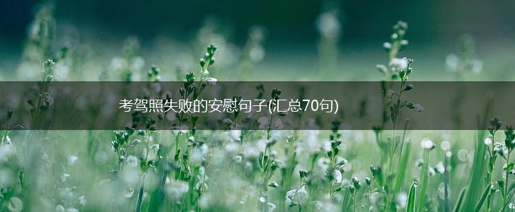 考驾照失败的安慰句子(汇总70句),第1张