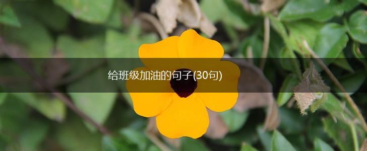 给班级加油的句子(30句),第1张