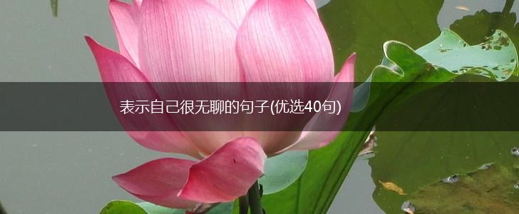 表示自己很无聊的句子(优选40句),第1张
