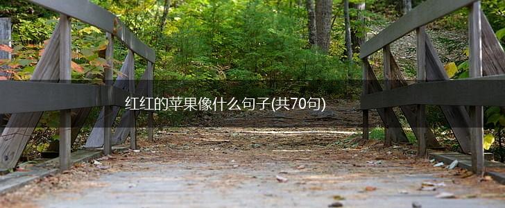 红红的苹果像什么句子(共70句),第1张