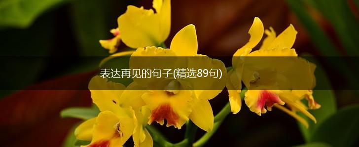 表达再见的句子(精选89句),第1张