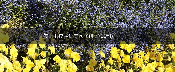 美丽的校园优美句子(汇总11句),第1张