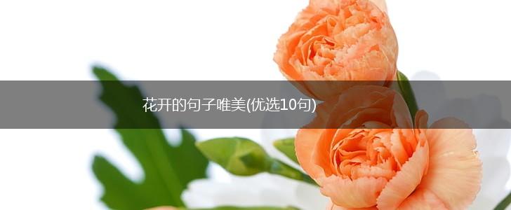 花开的句子唯美(优选10句),第1张