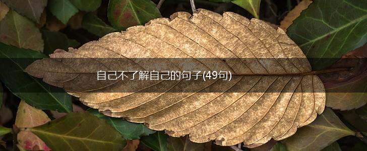 自己不了解自己的句子(49句),第1张