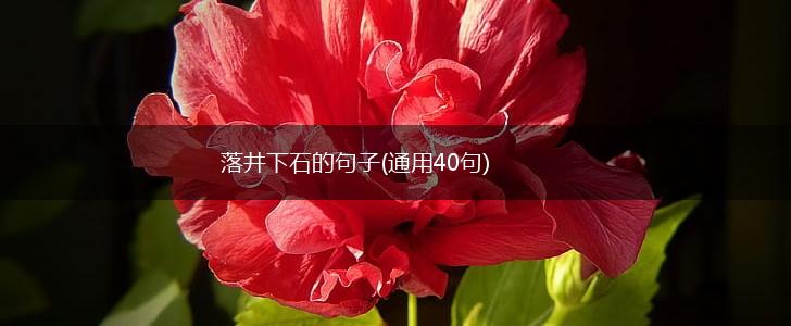落井下石的句子(通用40句),第1张