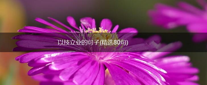 以技立业的句子(精选80句),第1张