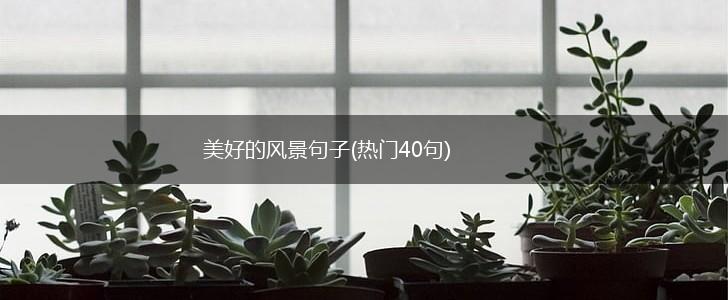 美好的风景句子(热门40句),第1张