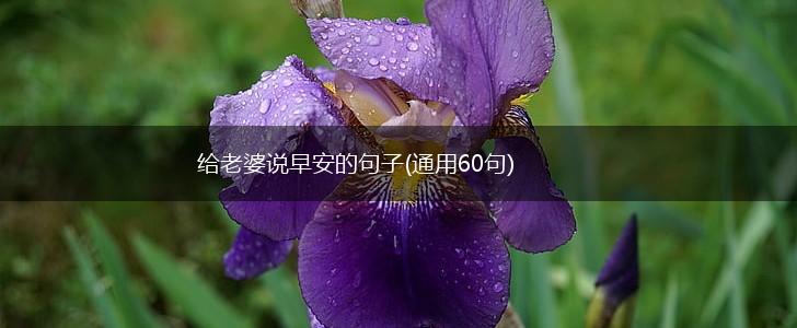 给老婆说早安的句子(通用60句),第1张 给老婆说早安的句子(通用60句),第1张