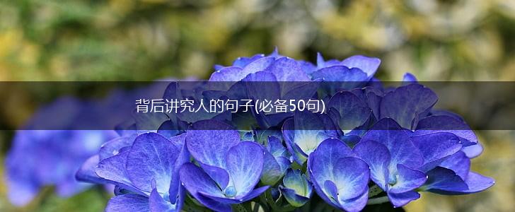 背后讲究人的句子(必备50句),第1张