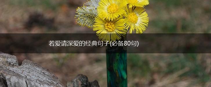 若爱请深爱的经典句子(必备80句),第1张