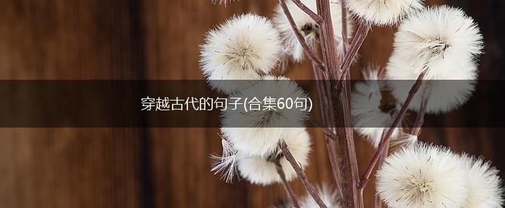 穿越古代的句子(合集60句),第1张
