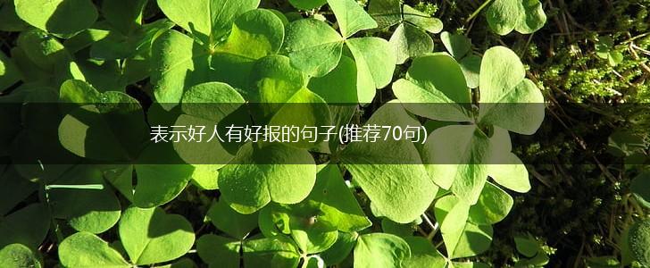 表示好人有好报的句子(推荐70句),第1张