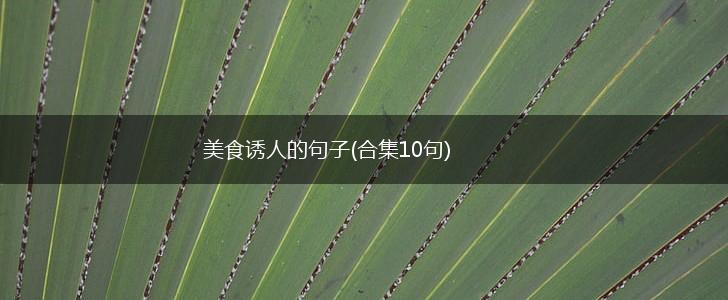 美食诱人的句子(合集10句),第1张