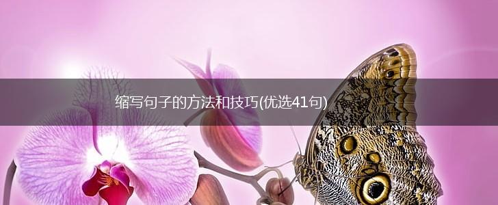 缩写句子的方法和技巧(优选41句),第1张 缩写句子的方法和技巧(优选41句),第1张
