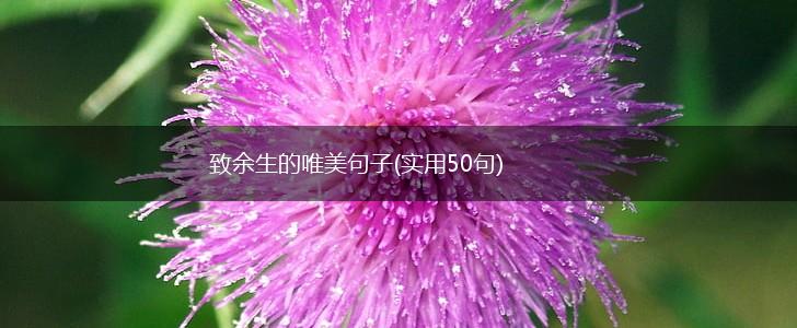 致余生的唯美句子(实用50句),第1张