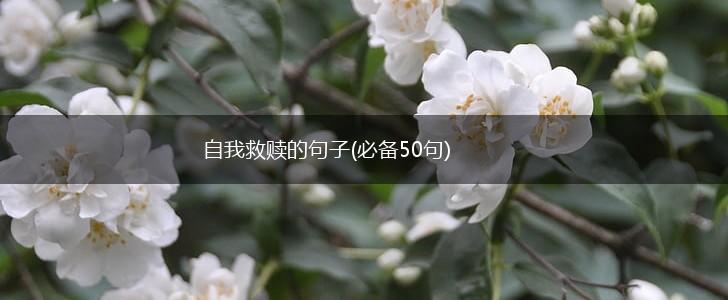 自我救赎的句子(必备50句),第1张