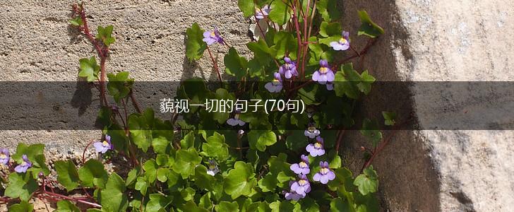 藐视一切的句子(70句),第1张