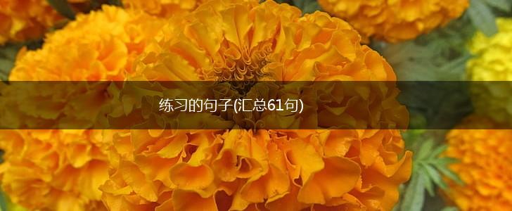 练习的句子(汇总61句),第1张