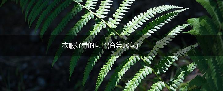 衣服好看的句子(合集50句),第1张