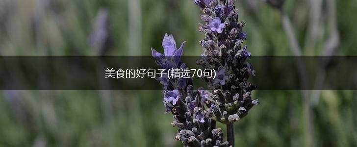 美食的好句子(精选70句),第1张