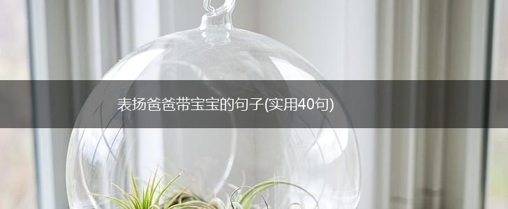表扬爸爸带宝宝的句子(实用40句),第1张