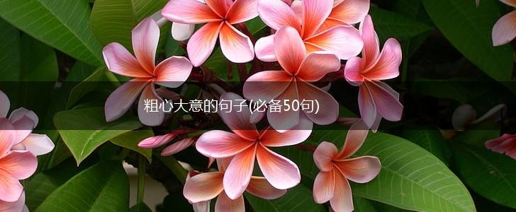 粗心大意的句子(必备50句),第1张