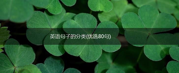英语句子的分类(优选80句),第1张