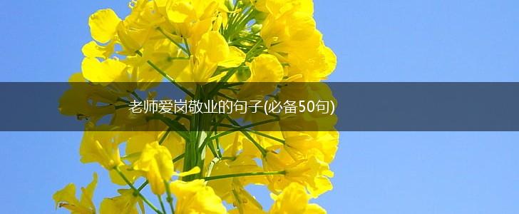 老师爱岗敬业的句子(必备50句),第1张