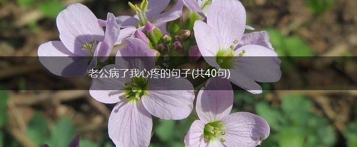 老公病了我心疼的句子(共40句),第1张