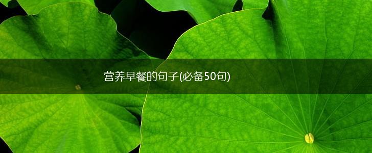 营养早餐的句子(必备50句),第1张