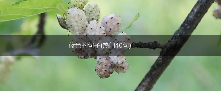 蓝色的句子(热门40句),第1张