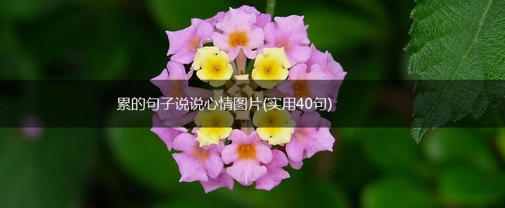 累的句子说说心情图片(实用40句),第1张