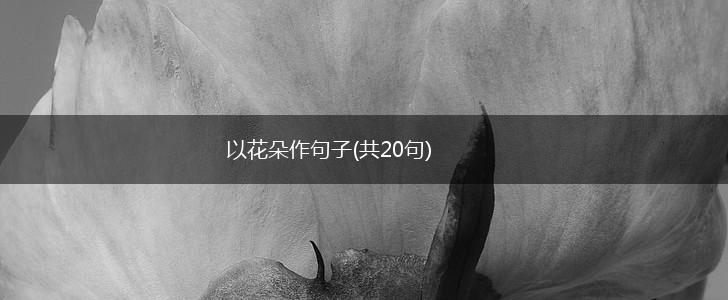 以花朵作句子(共20句),第1张
