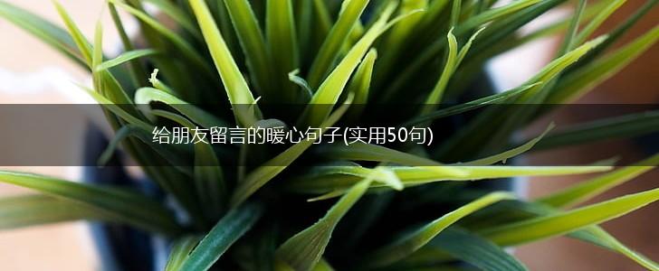 给朋友留言的暖心句子(实用50句),第1张