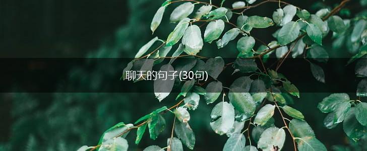 聊天的句子(30句),第1张