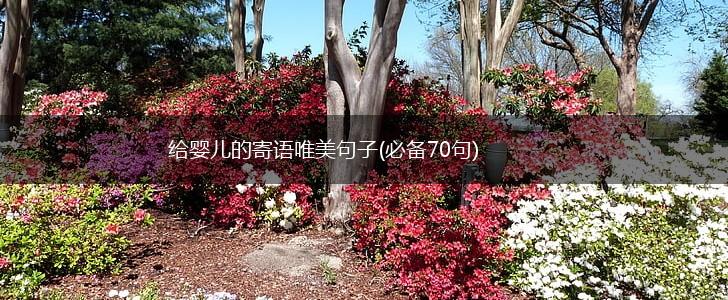 给婴儿的寄语唯美句子(必备70句),第1张