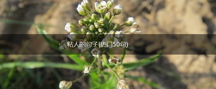 粘人的句子(热门50句),第1张