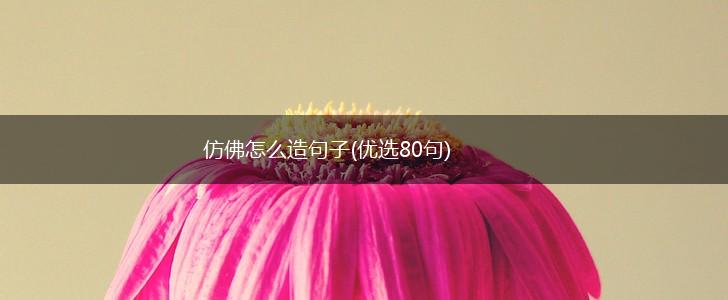 仿佛怎么造句子(优选80句),第1张