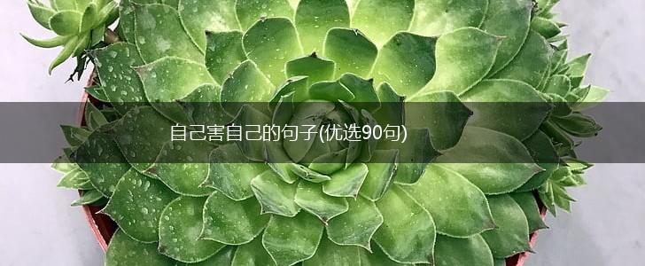 自己害自己的句子(优选90句),第1张